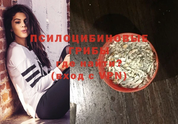 гашик Армянск