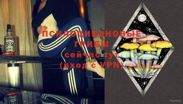молекула духа Арсеньев