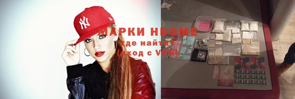 молекула духа Арсеньев