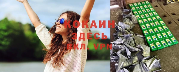молекула духа Арсеньев