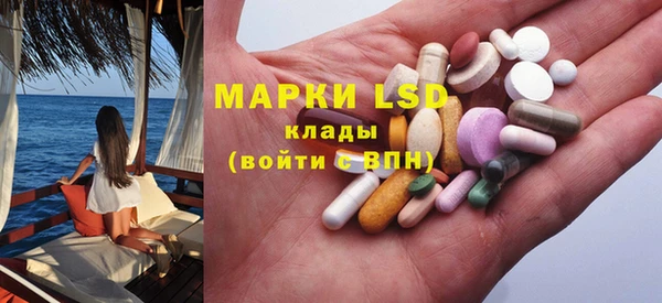 молекула духа Арсеньев
