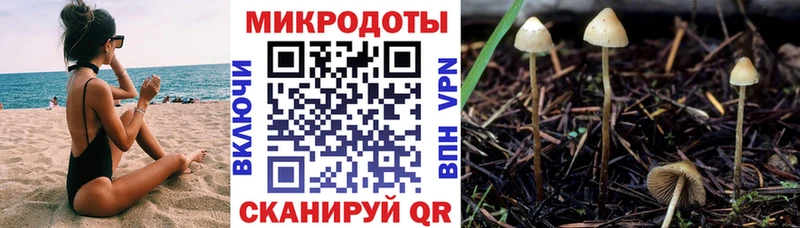 площадка как зайти  Киров  Галлюциногенные грибы Psilocybine cubensis  купить  
